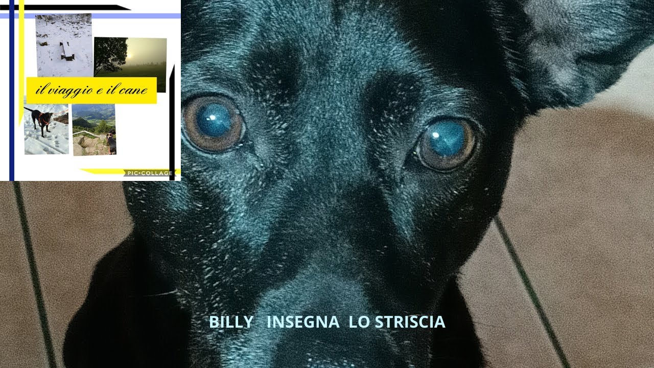 Comando striscia Esempio pratico