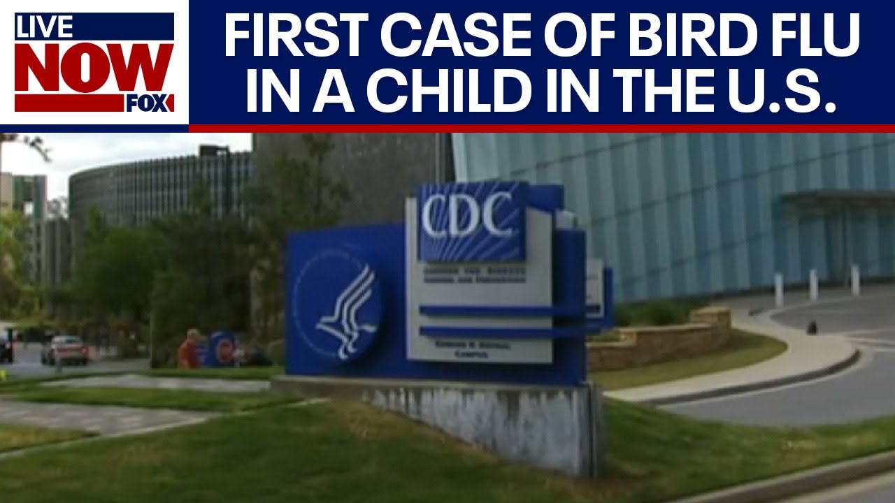 First bird flu case in a child in the US, CDC confirms | LiveNOW from FOX