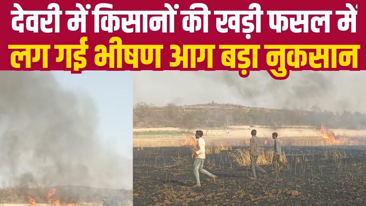 देवरी में किसानों की खड़ी फसल में लग गई भीषण आग बड़ा नुकसान||BUNDELI DHARTI NEWS||