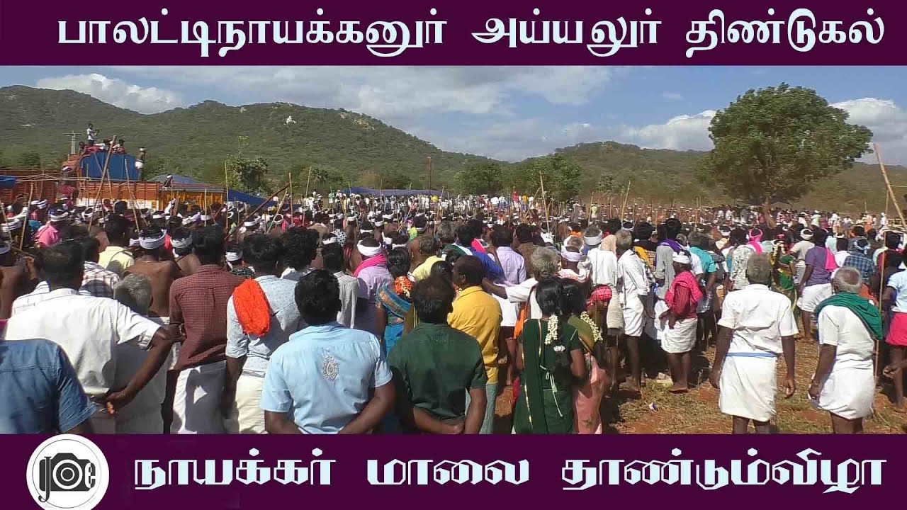 மாடுகள் மாலை தாண்டும் விழா | அய்யலூர்  திண்டுக்கல்