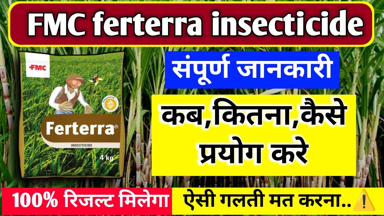 FMC India Ferterra® Systemic insecticide || ferterra ke fyade || Chlorantranilliprole 0.4%।