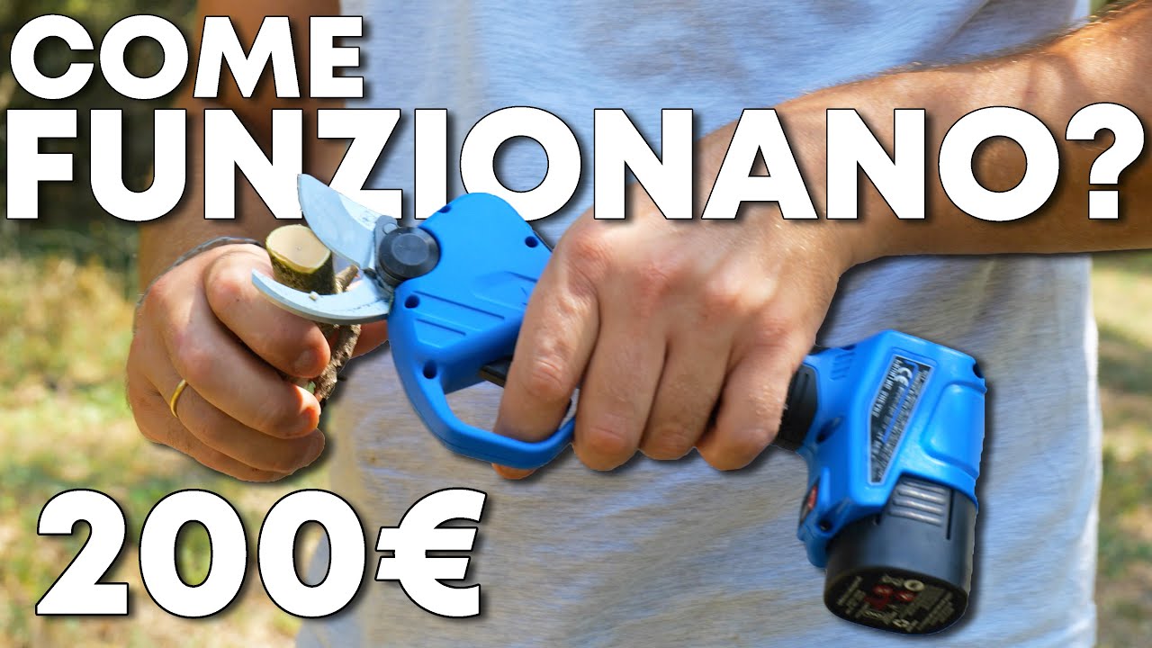 Ho COMPRATO delle FORBICI a BATTERIA