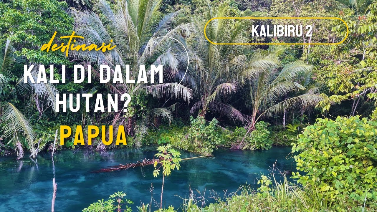 Explore kalibiru papua, kalau beruntung bisa liat burung langka #fyp #kalibiru