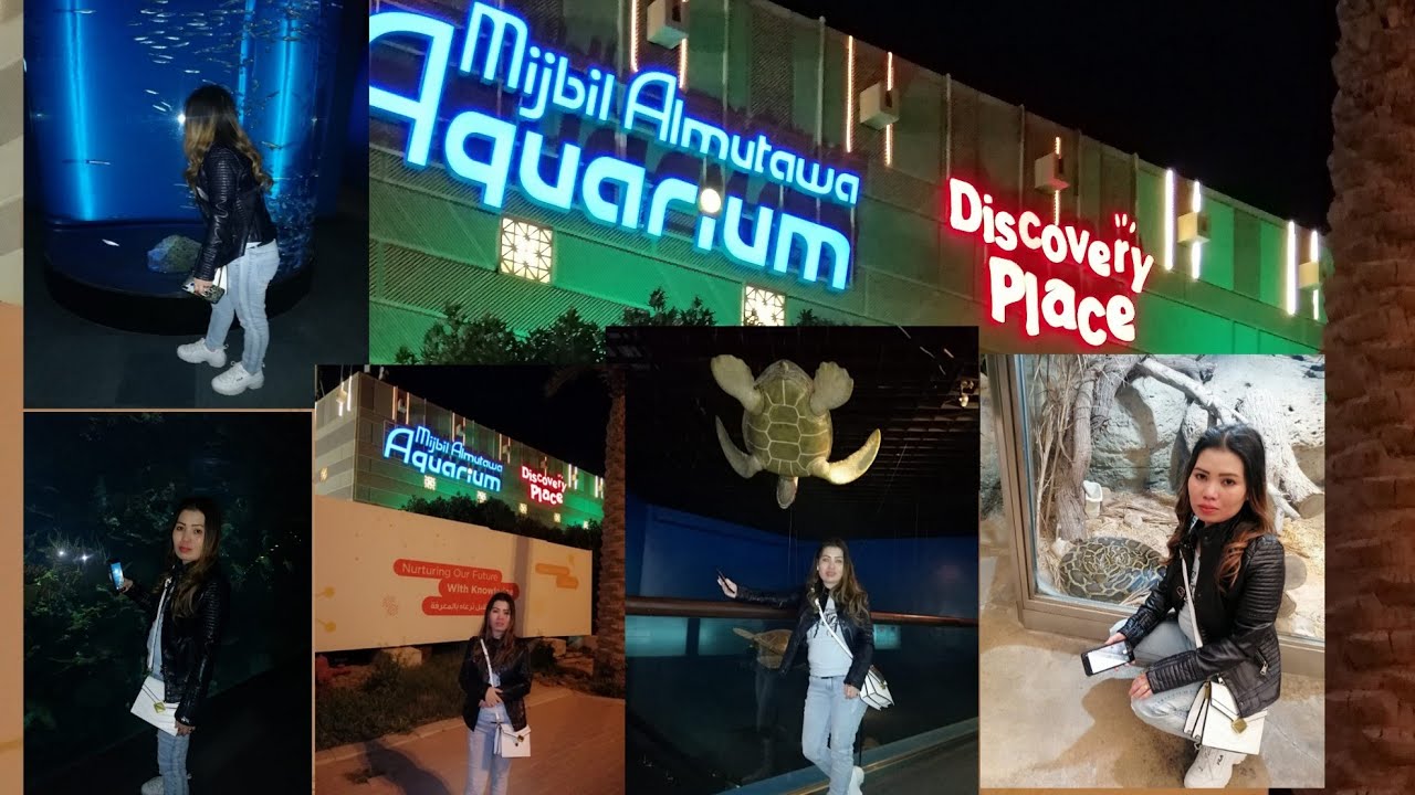 #aquarium