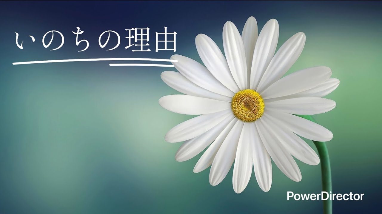 いのちの理由　オカリナcover