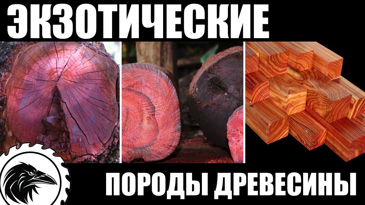 Экзотические породы древесины | Дальбергия, палисандр, кокоболо, гренадил, баия.