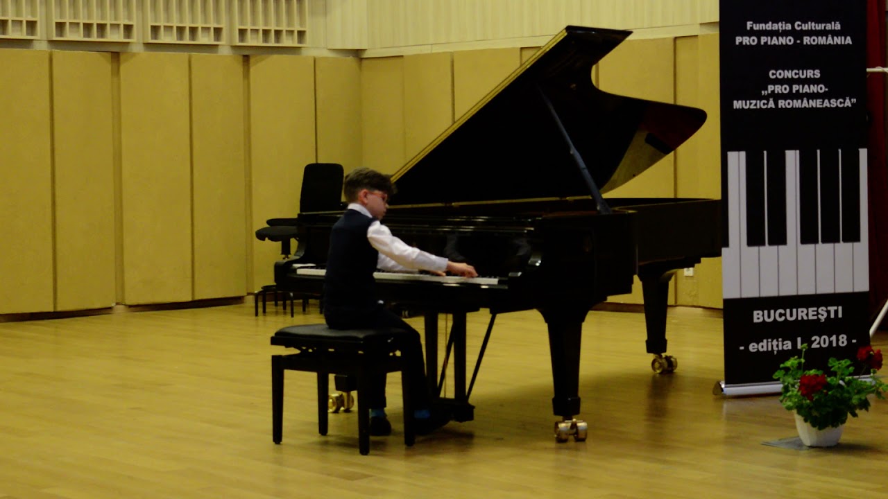 Ungureanu Matei Alexandru (2018)-- Carmen P. Basacopol-- 