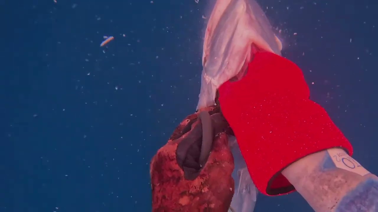 Tangige 2025// Ika- 17 na king mack 2025// 208 total king mack since 2017//