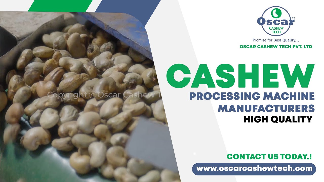 Cashew Processing Plant, Cashew Processing Machine Manufacturers at High Quality, Oscar Cashew Tech