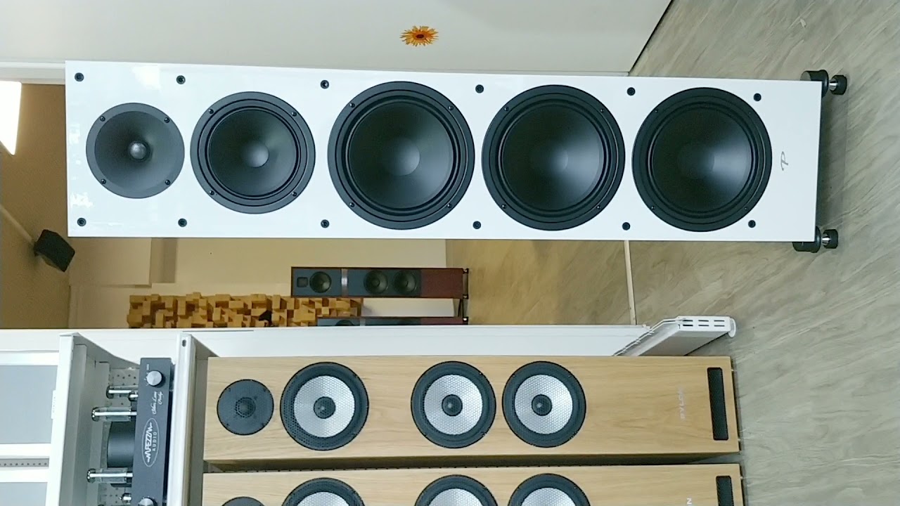 The New Paradigm Monitor 8000F
