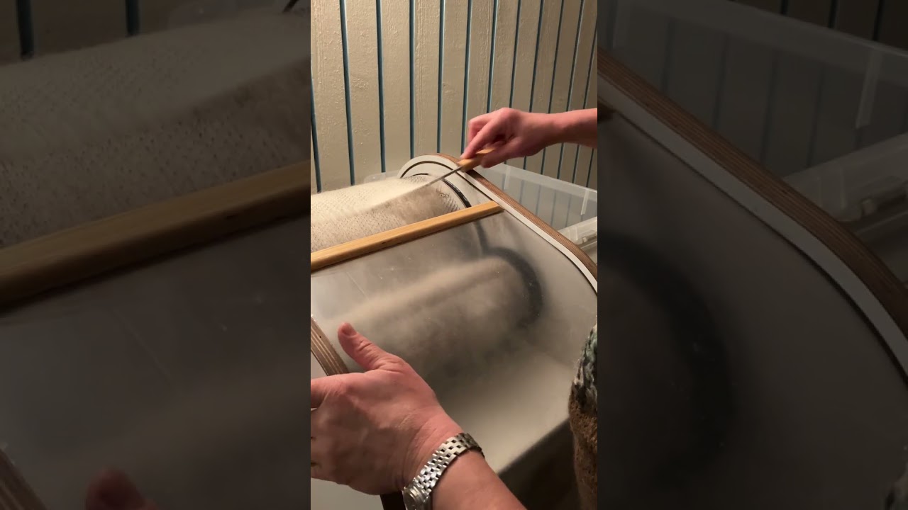 Carding wool with a drum carder