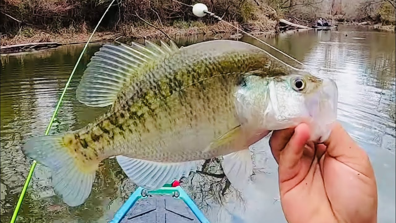 INSANE NON-STOP Jig & Bobber ACTION In The CREEK‼️KAYAK CREEK CRAPPIE Fishing 2024‼️