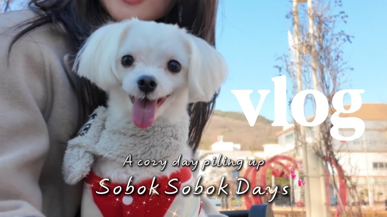 [Vlog] 예신의 설날 | 자녀계획..? | 구름이 지랄견 테스트 | 달성공원을 아시나요? | 강아지랑 하루종일 놀기