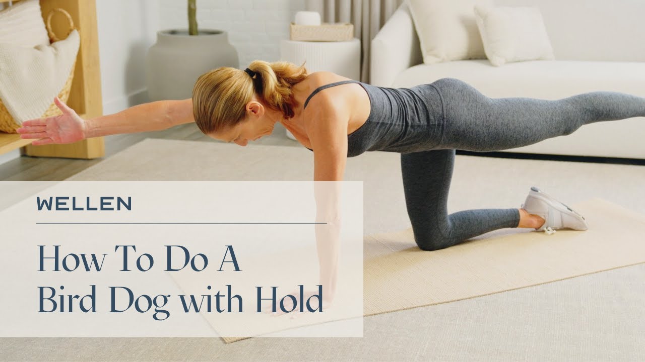 How To Properly Do A Bird Dog with Hold - Strength and Posture Exercises - Wellen