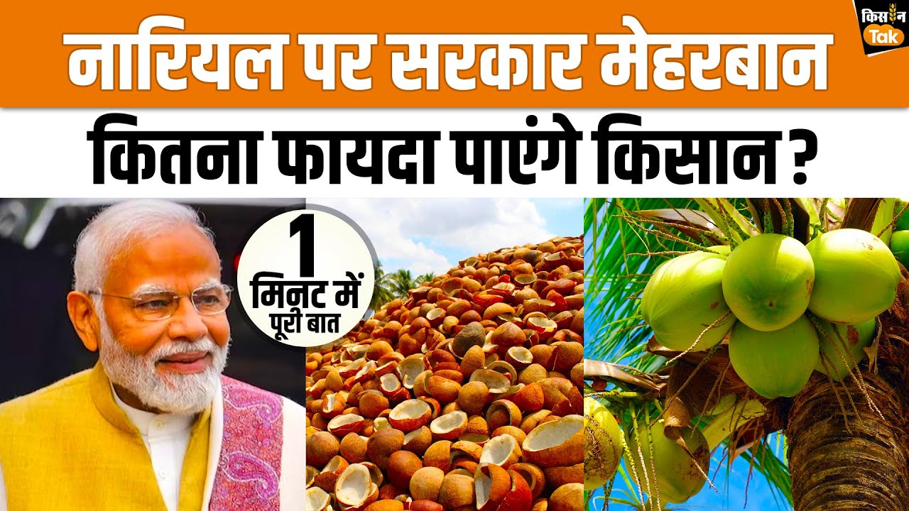 Copra MSP: Modi Govt ने Coconut Farmers को दी बड़ी सौगात, Copra MSP में किया इजाफा  | Kisan Tak