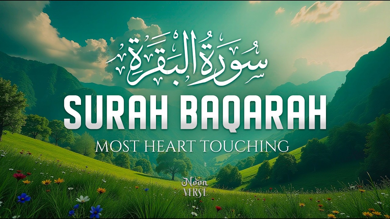 Surah Al-Baqarah (سورة البقرة) | Peaceful & Deep Healing Quran Recitation for the Heart #baqarah