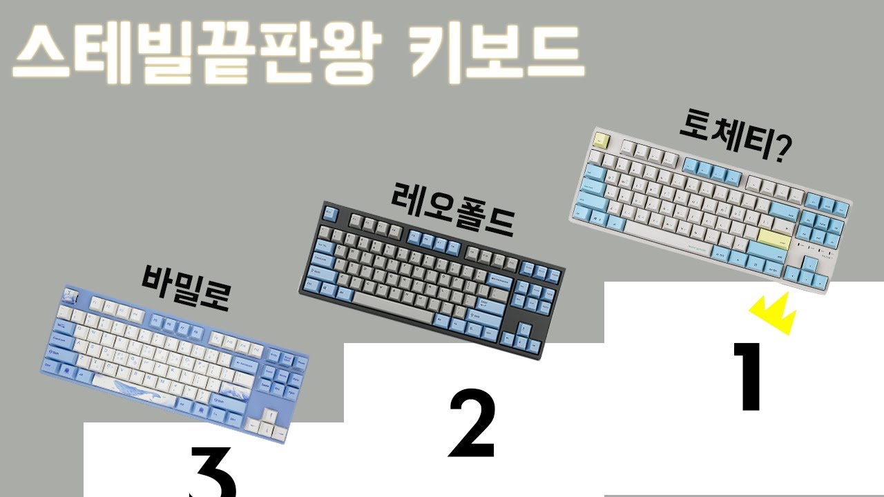 새로운 스테빌 끝판왕 키보드의 등장? [ 듀가드 X 씽크웨이 토체티 체리은축 기계식키보드 리뷰]