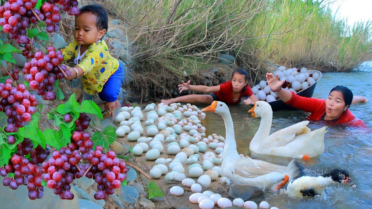 Mother and child Found Goose egg and Grapes at river - Fried Goose for baby dog Eating delicious