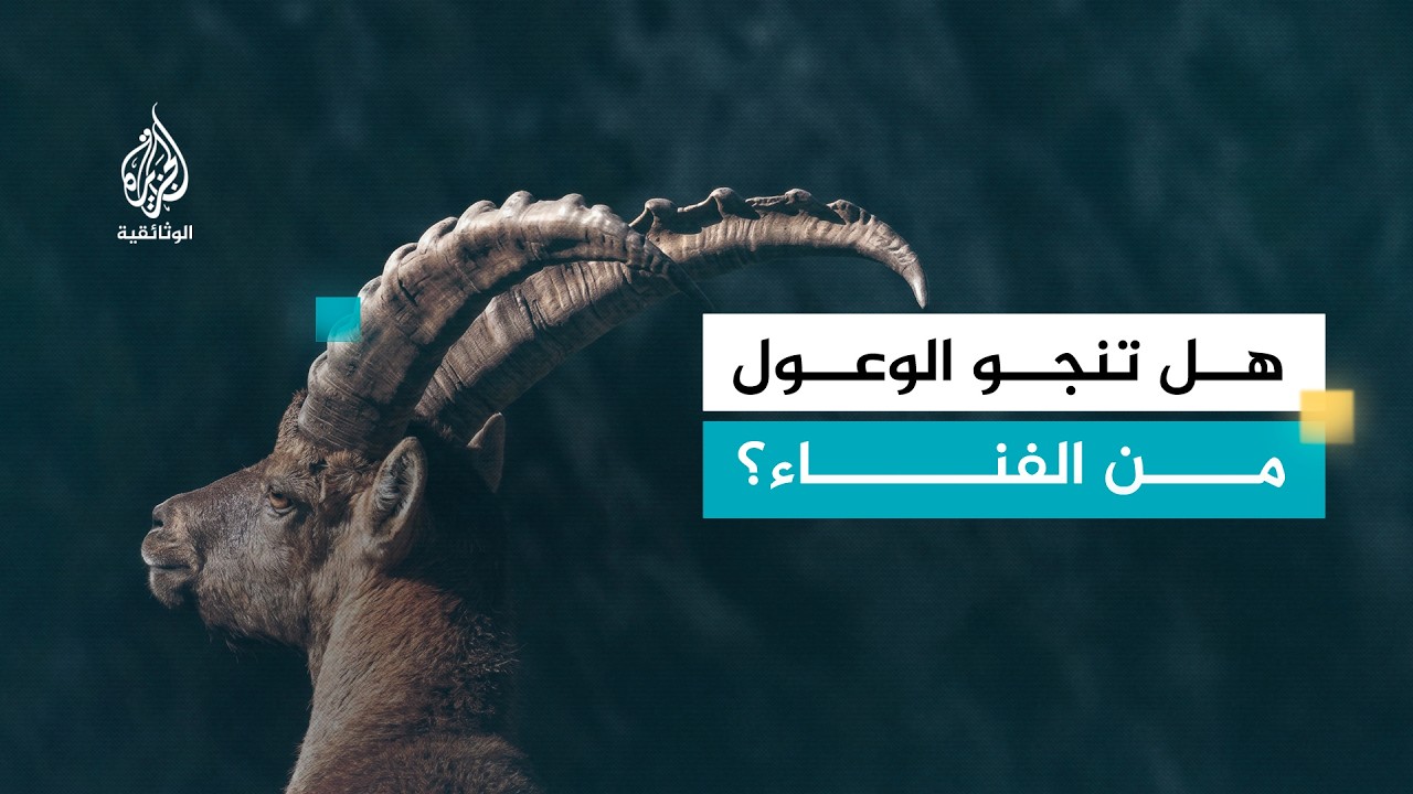 وعول الألب