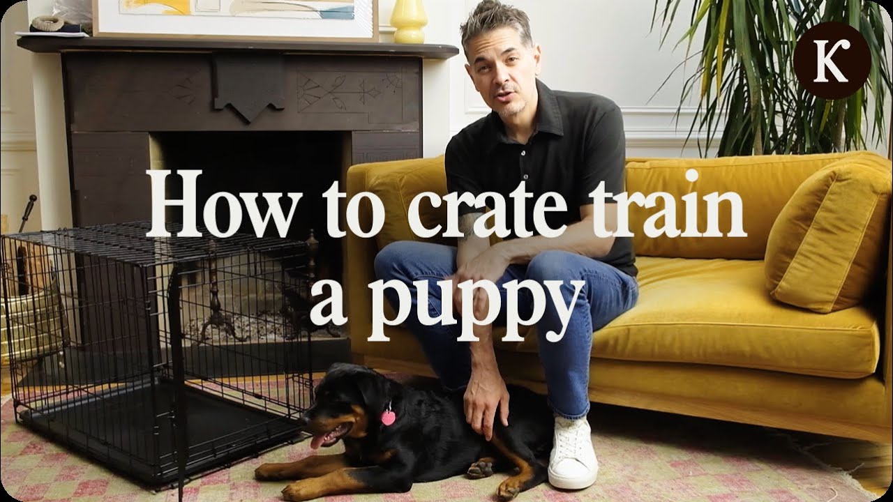 Crate Training Made EASY for Your Puppy
