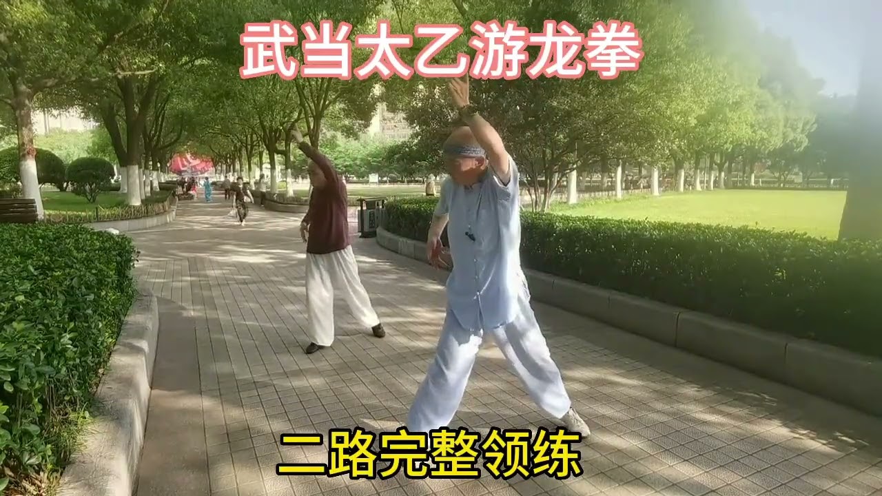 武当太乙游龙拳二路完整领练。