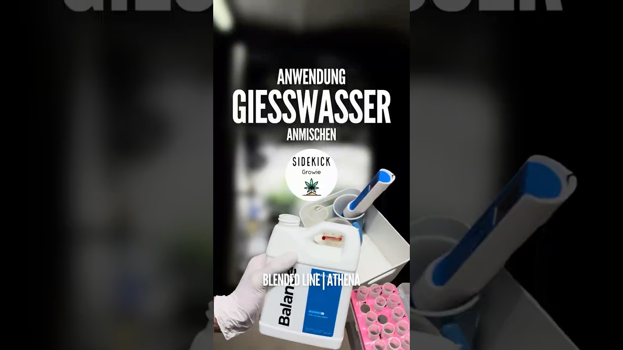 Das Anmischen - Gie&szlig;wasser | mit Blended Line von Athena