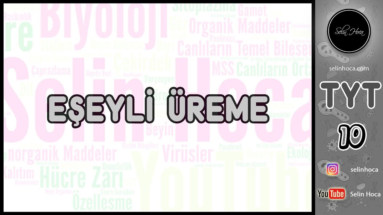 7) Eşeyli Üreme