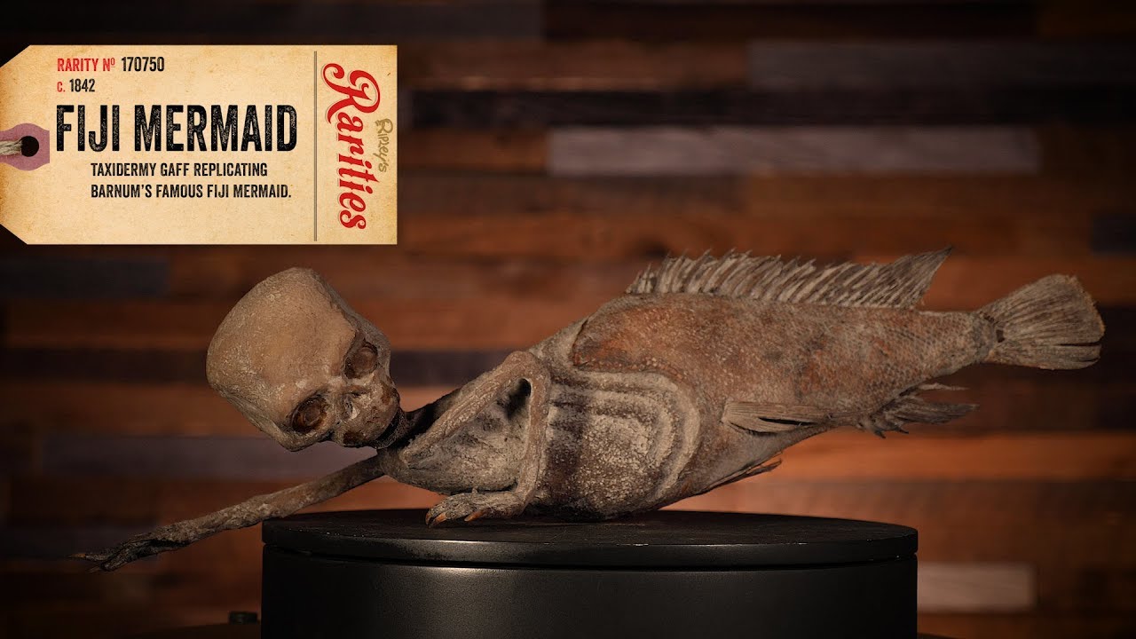 What Exactly Is A Fiji Mermaid?