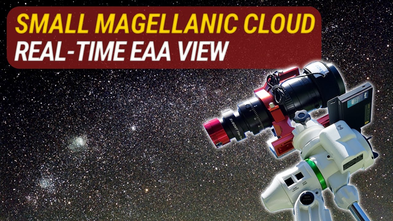 Real-Time View of the Small Magellanic Cloud (NGC 292)