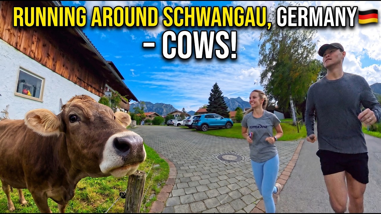 Run Through Schwangau, Germany (COWS!)