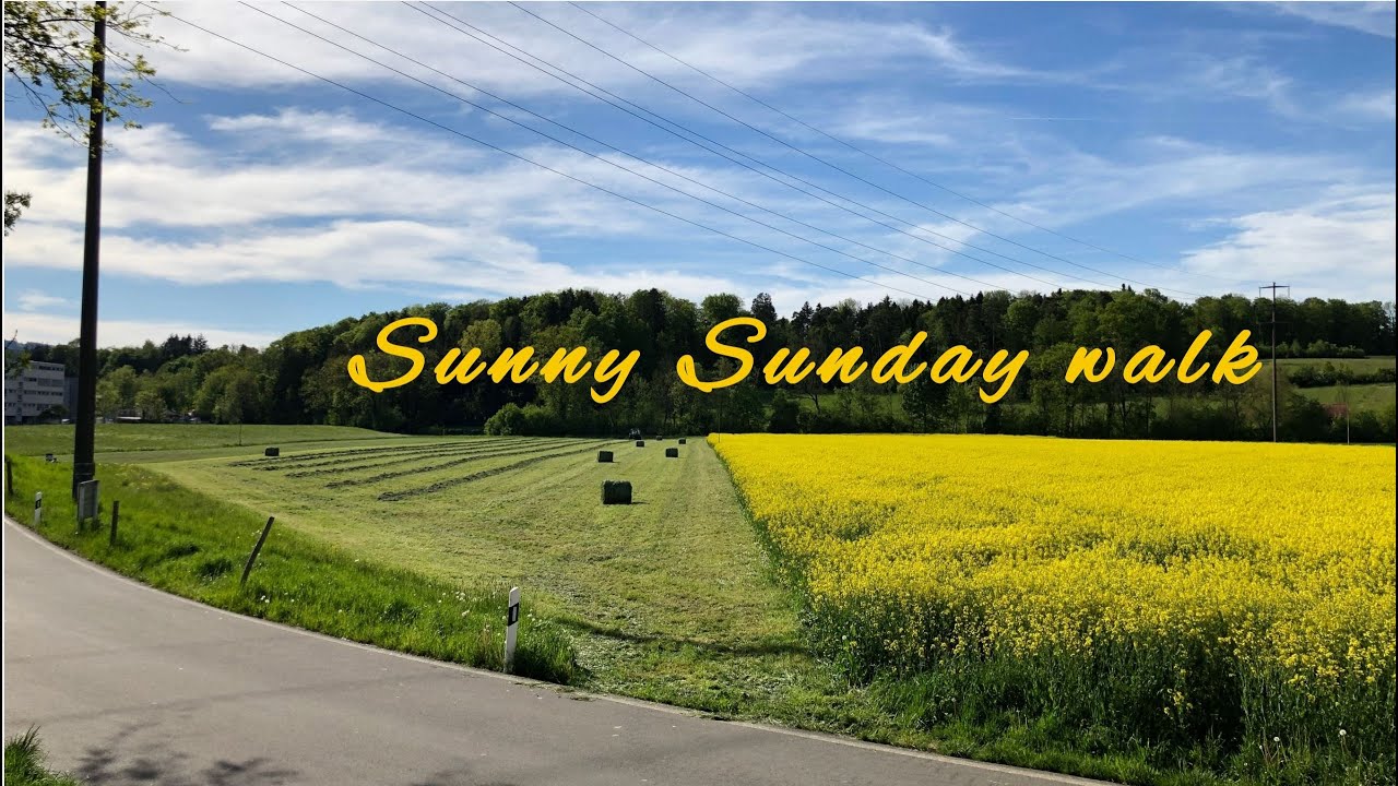 Sunny Sunday walk  [2021, Switzerland]