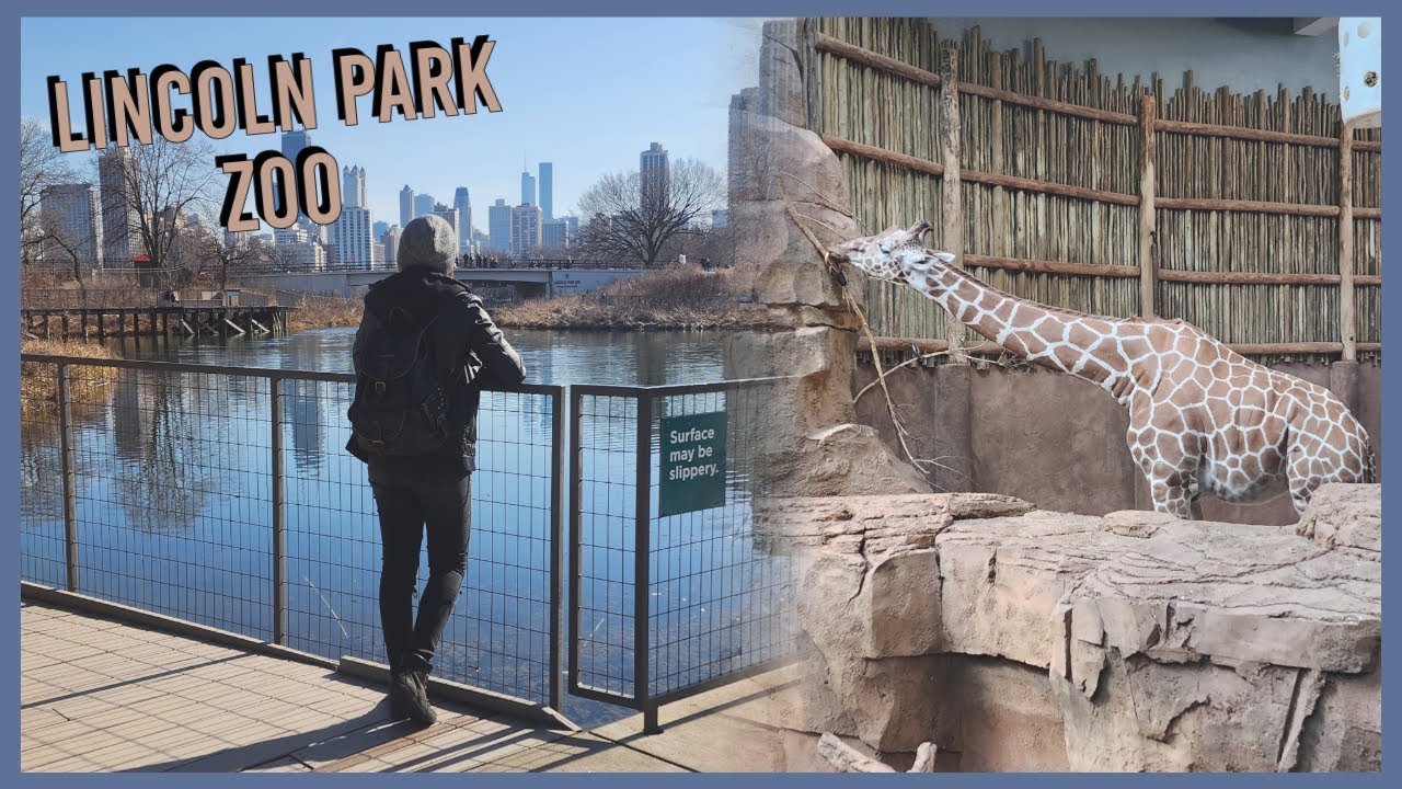 Chicago Zoo | Lincoln Park Zoo
