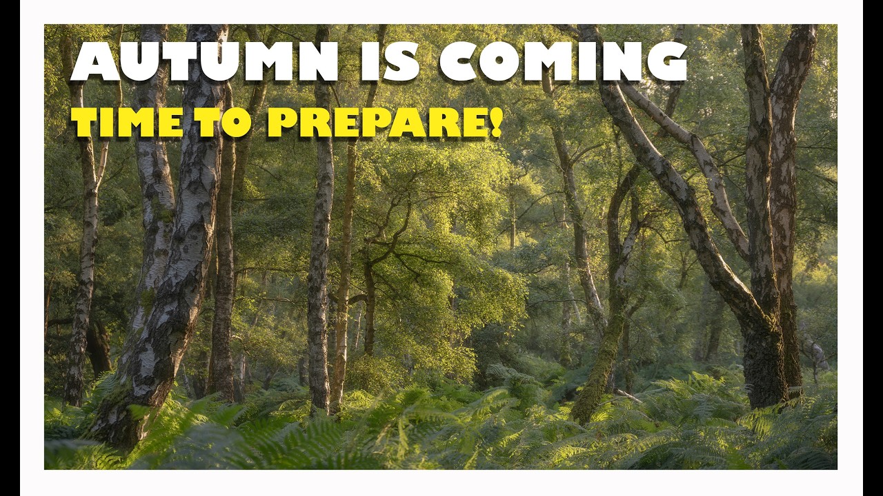 How do I IMPROVE MY Woodland Photography? Photographing Cannock Chase Forest Preparing For Autumn