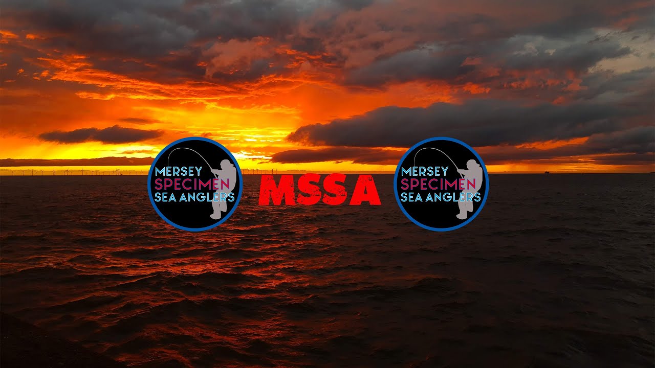 MSSA  Introduction