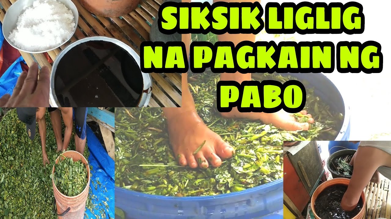 SIKSIK LIGLIG NA PAGKAIN NG AKING MGA PABO