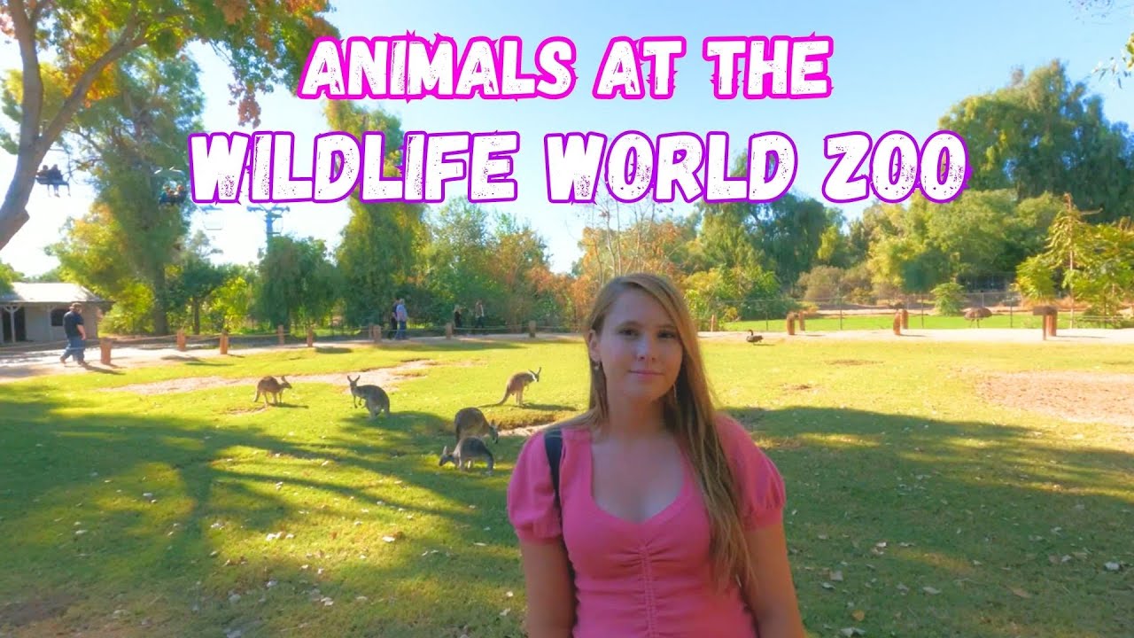 Animals at the Wildlife World Zoo, Aquarium, and Safari Park in Litchfield Park, Arizona