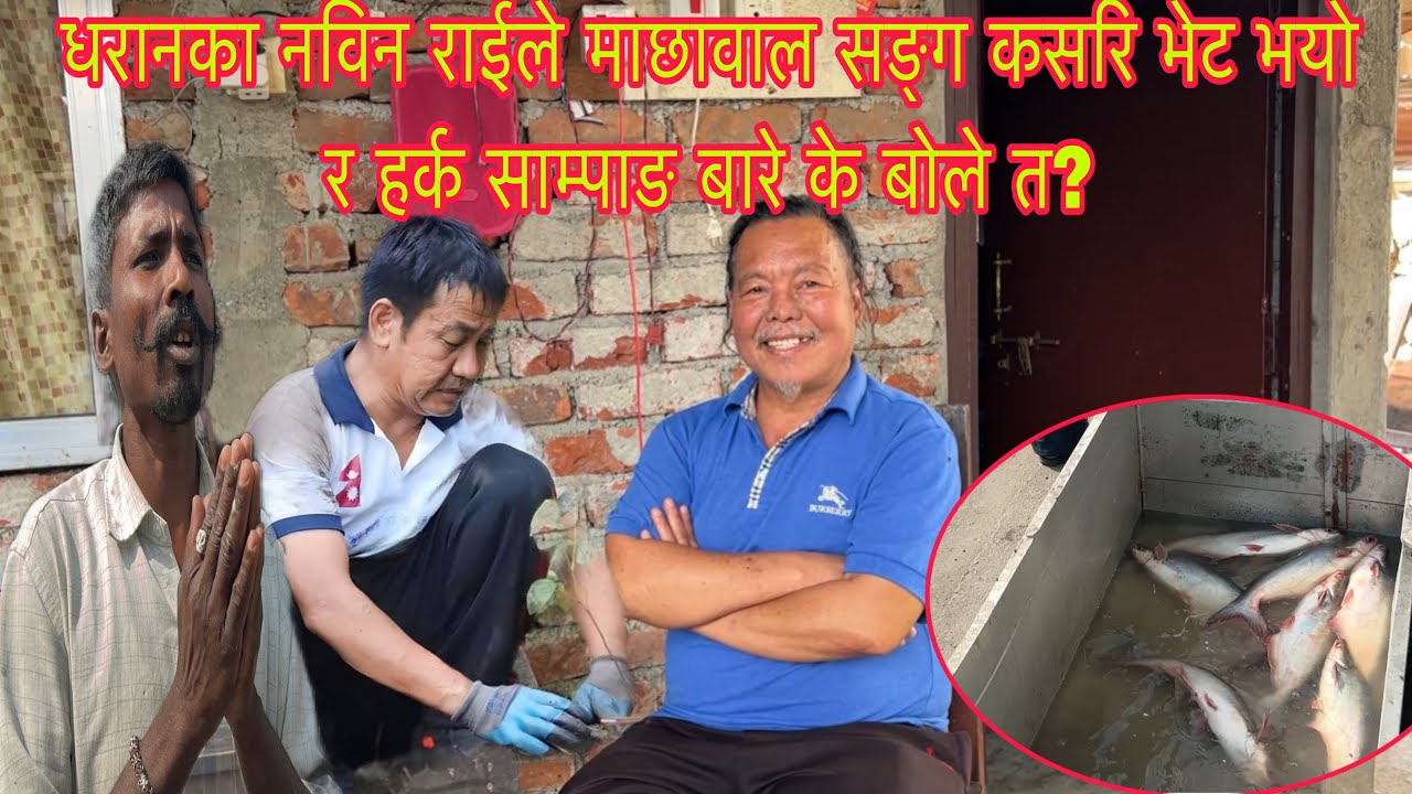 धरानका नविन राईले माछावाल सङ्ग कसरि भेट भयो हर्क साम्पाङ बारे के बोले त? 
