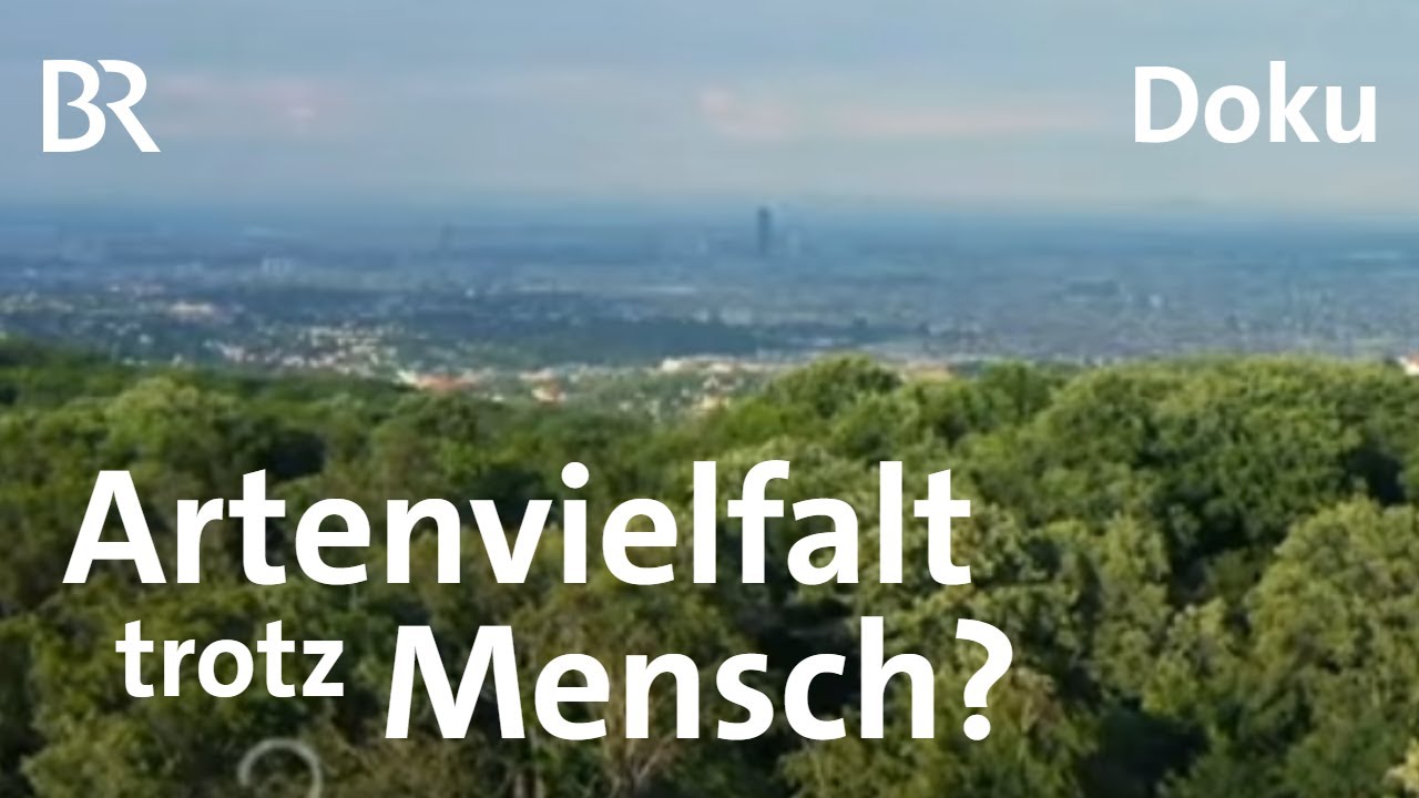 Stadt, Land oder Wildnis: Wie schützen wir Artenvielfalt am besten? | Gut zu wissen | BR