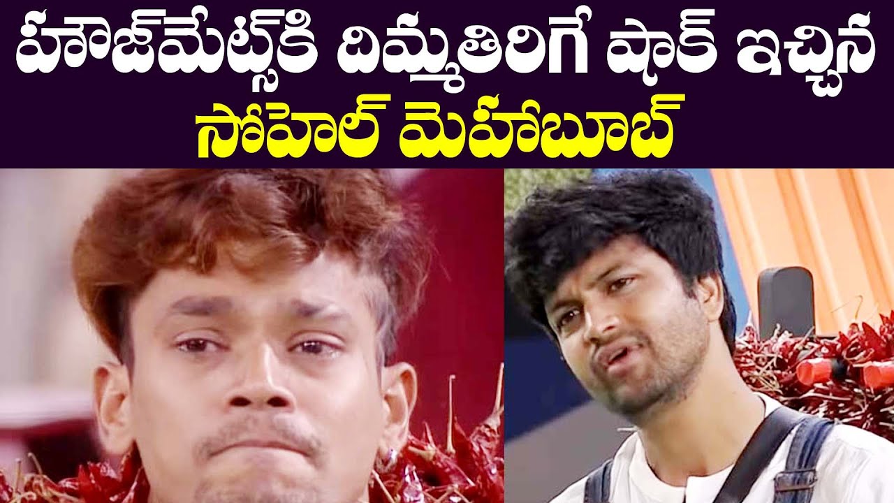 Bigg Boss 4 Day 36 Highlights | BB4 Episode 37 | BB4 Telugu | Nagarjuna | GS Entertainments