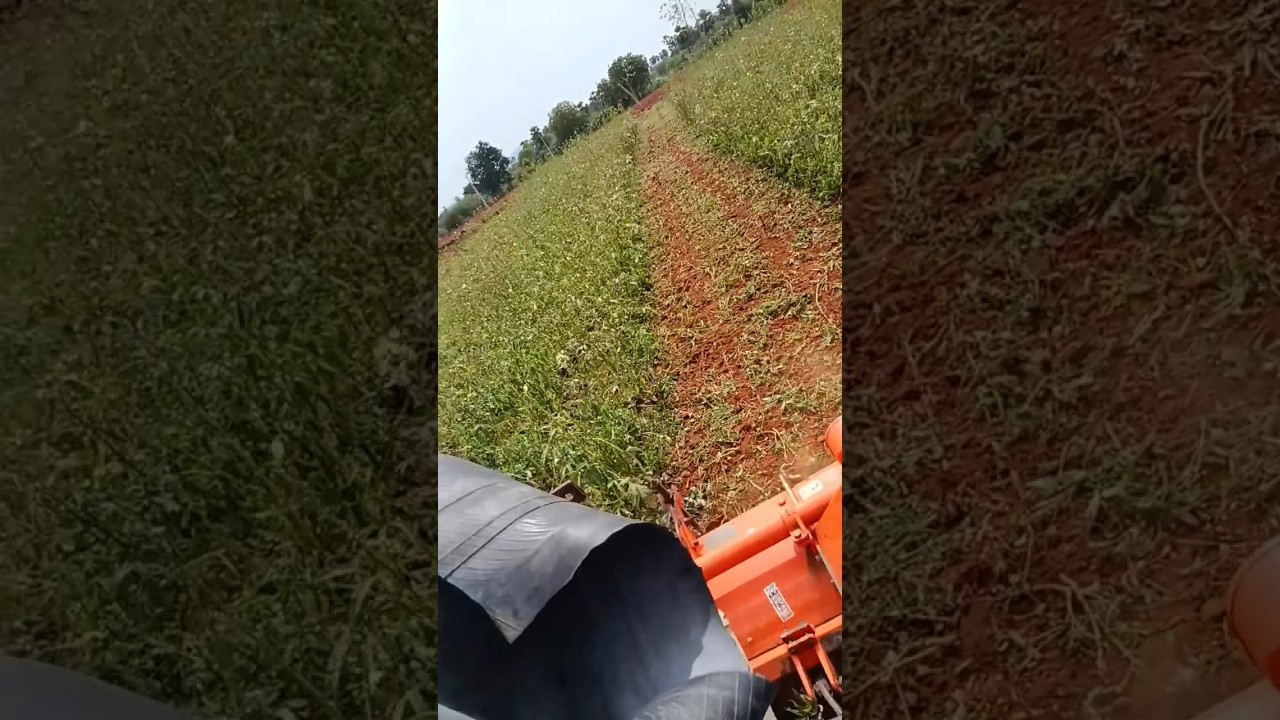 Village Tractor in Action 