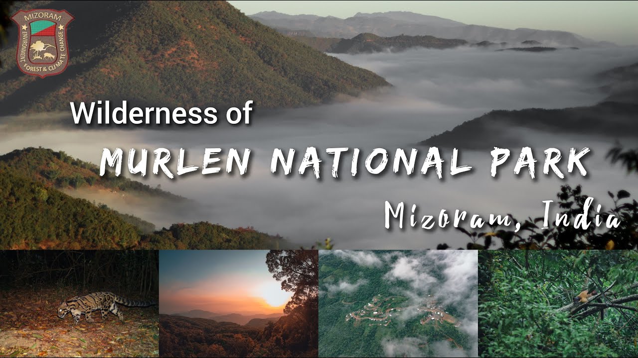 Murlen National Park, the untold and untouched beauty of Mizoram, India. 