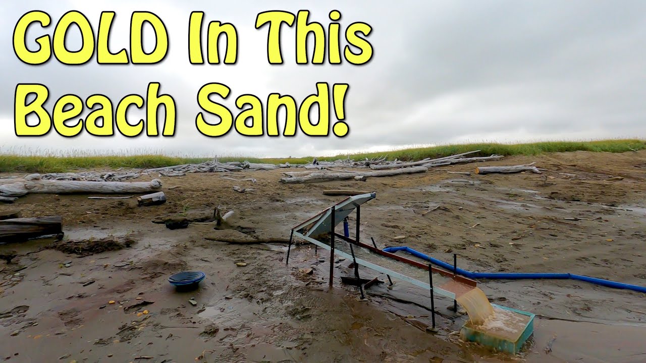 Found A Gram Of Gold Per Hour On Nome Beach!