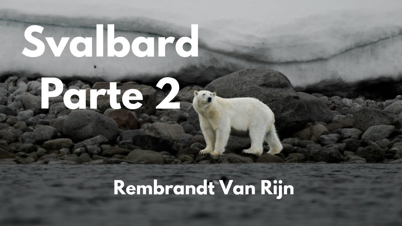 Svalbard Parte 2