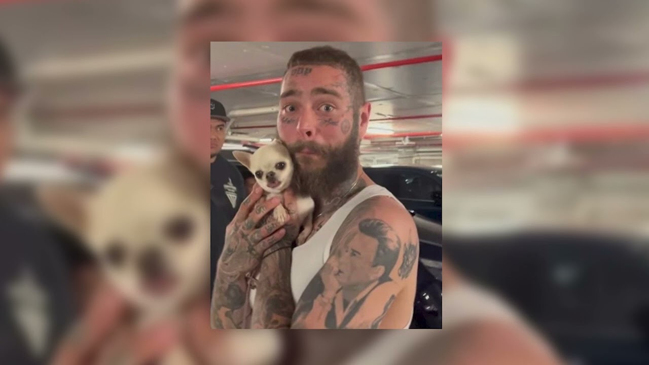 post malone - losers (sped up)