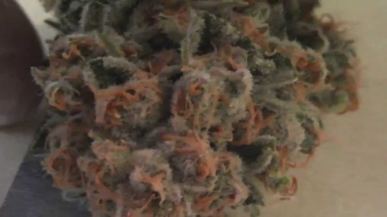 wet spacebomb bud