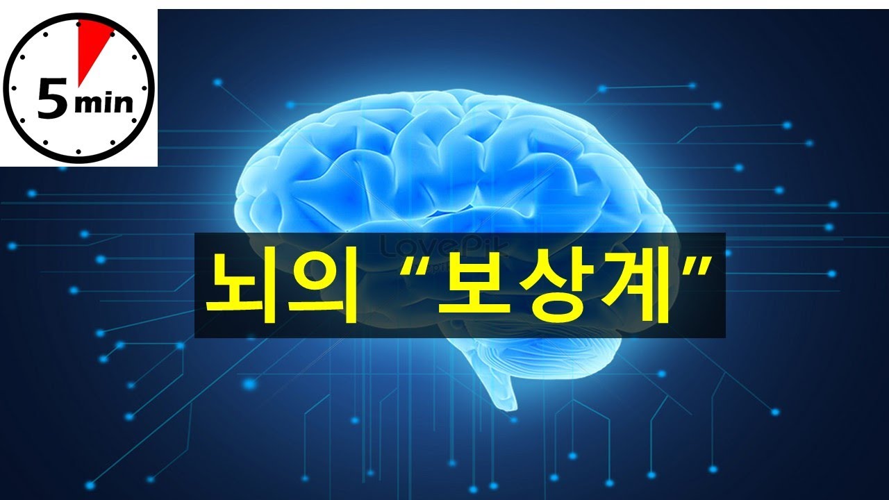 보상계