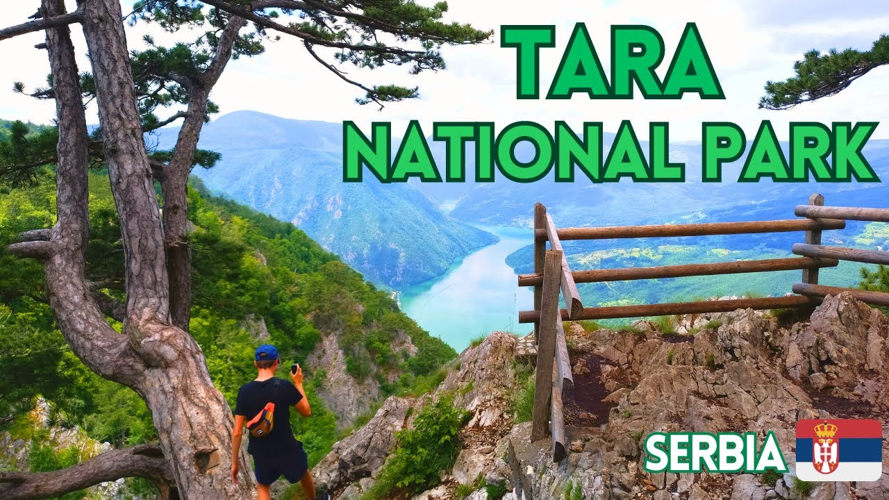 Tara National Park, Serbia, TOUR 4K, Park Narodowy Tara, Banjska Stena / Drina River House