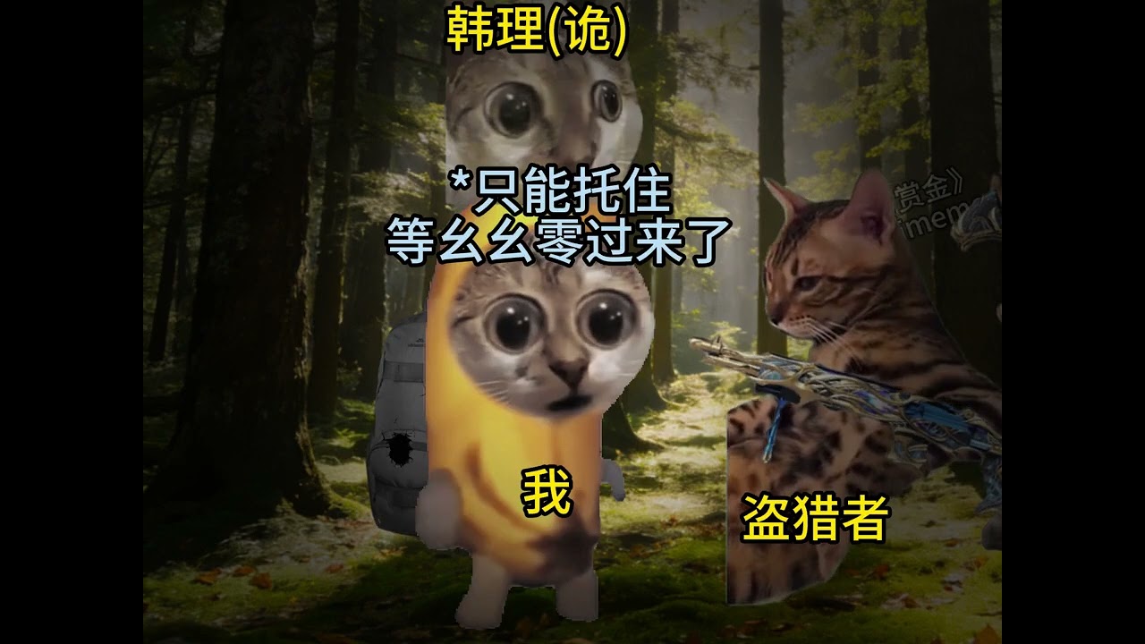 明月賞金5#貓#貓meme#搞笑# #熱門