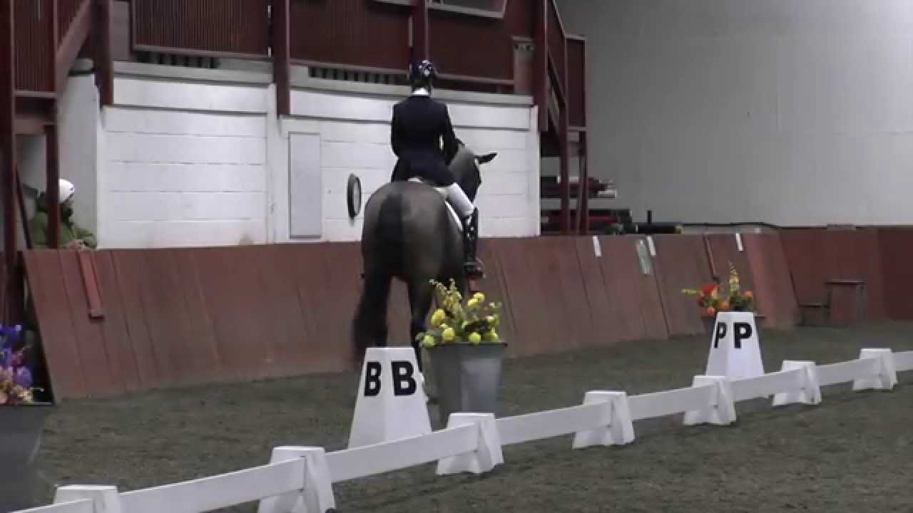 Sara-Jane Lanning Mi Amigo Medium Open Freestyle Regional Championships Merrist Wood 2015