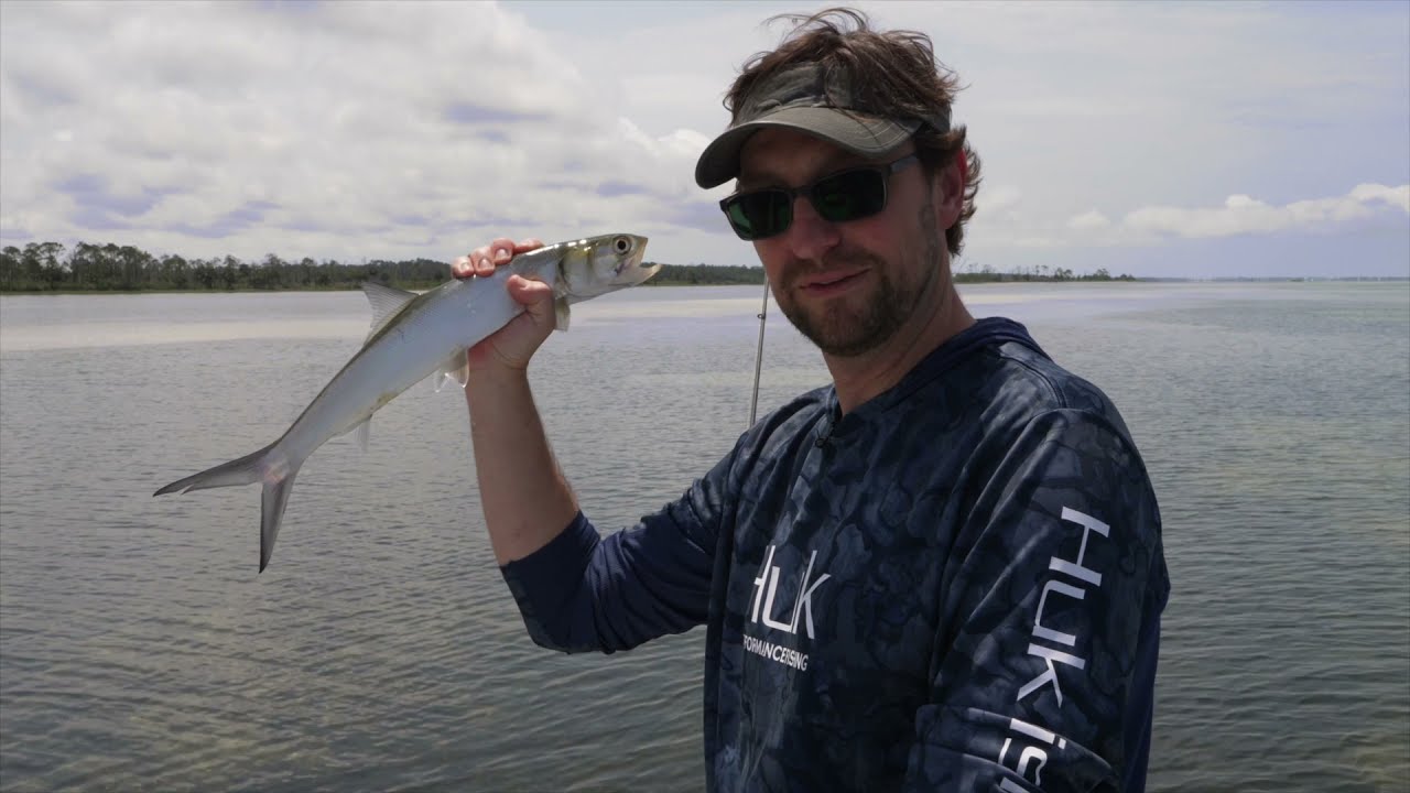 The Gulf County Florida Excursion
